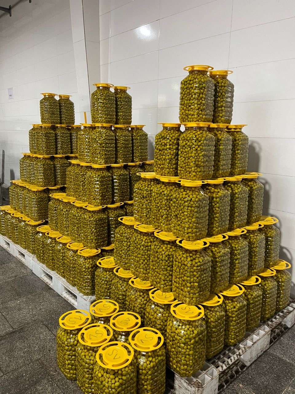 فرآوری و تولید انواع زیتون در بسته بندی‌های متنوع