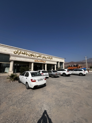 روغن‌کشی زیتون